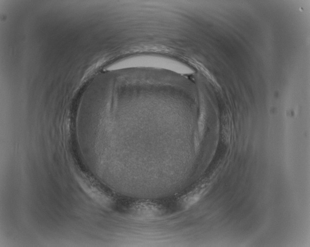 X0000083560207200702231612