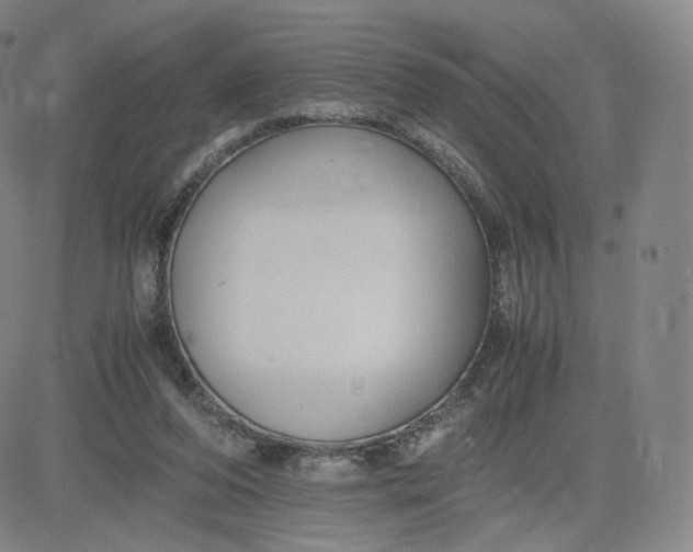 X0000083560208200702231612