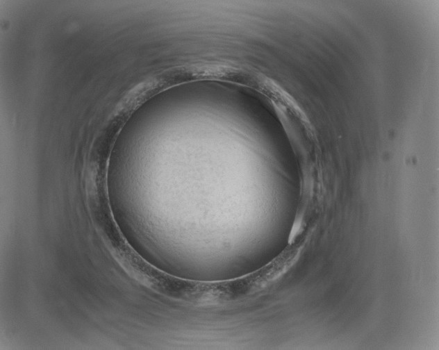 X0000083560209200702231612