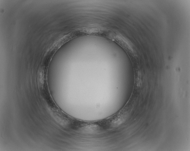 X0000083560210200702231612