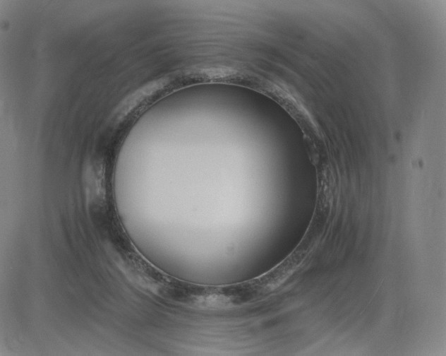 X0000083560212200702231612