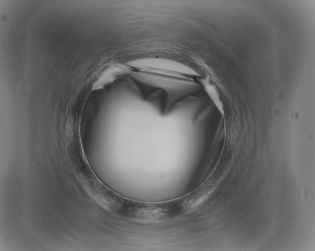 X0000083560213200702231612