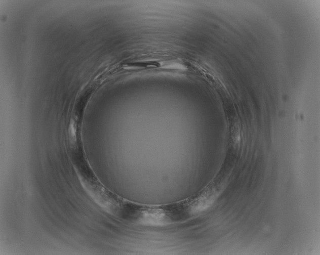 X0000083560214200702231612