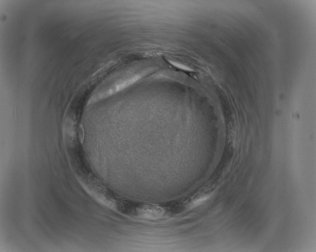 X0000083560215200702231612