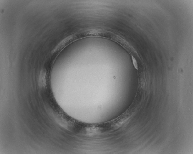 X0000083560216200702231612