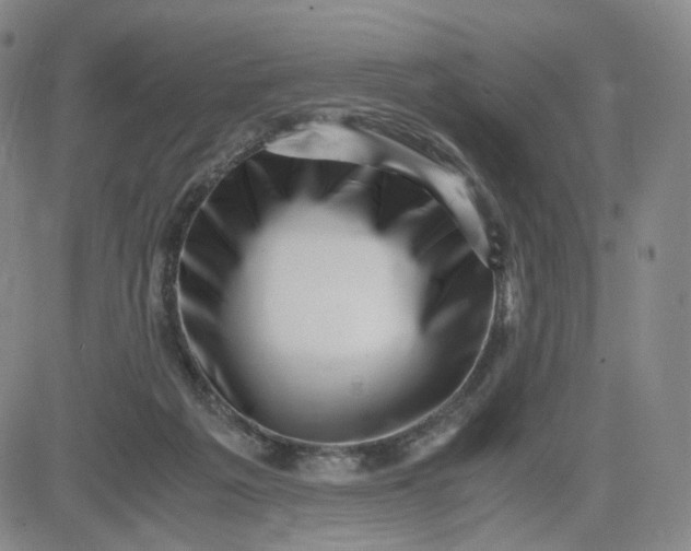 X0000083560217200702231612