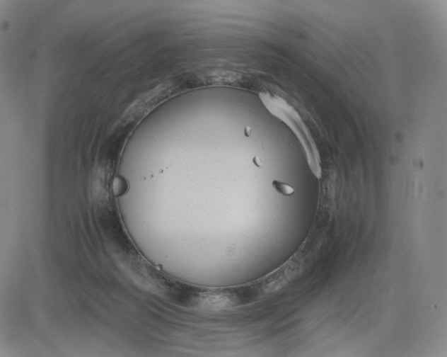 X0000083560218200702231612