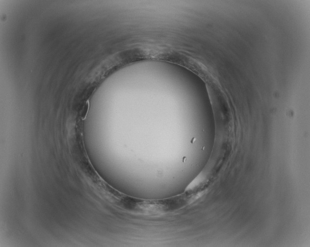 X0000083560221200702231612