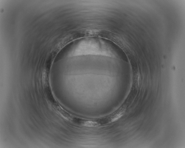 X0000083560222200702231612