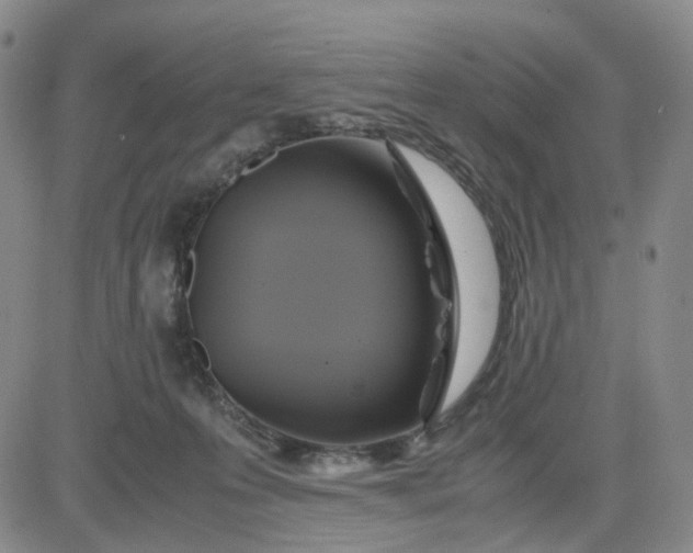 X0000083560223200702231612