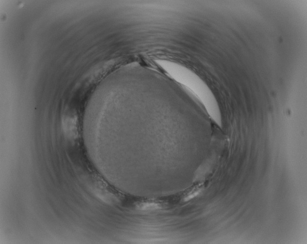 X0000083560224200702231612