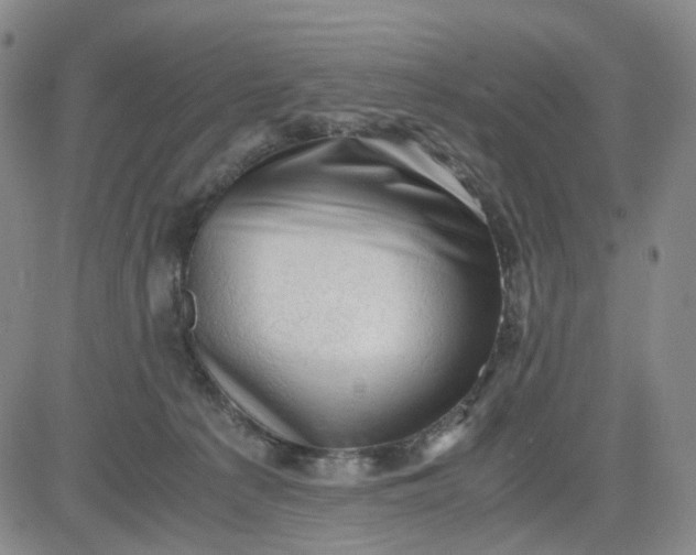 X0000083560225200702231612