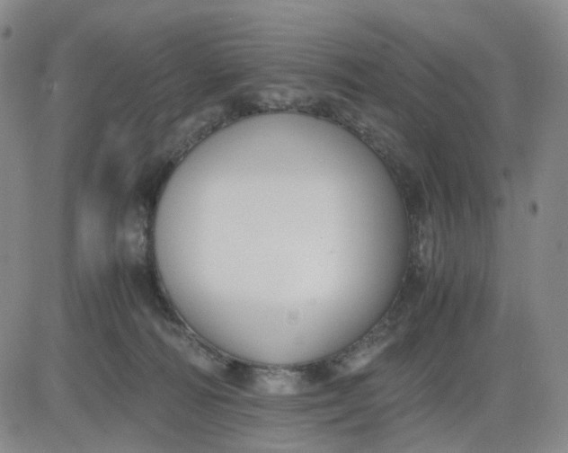 X0000083560226200702231612