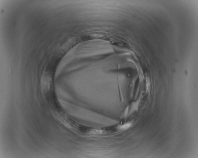 X0000083560227200702231612