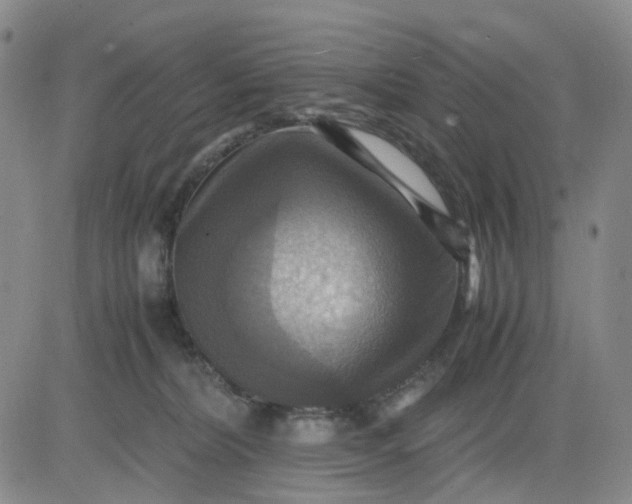 X0000083560228200702231612