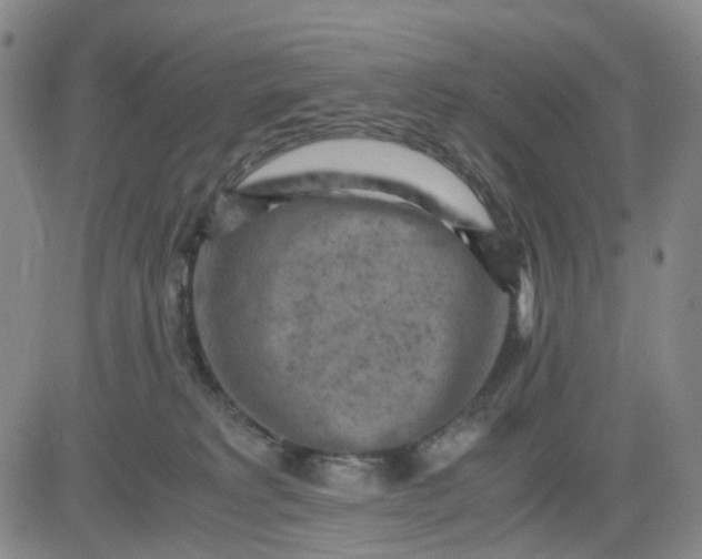 X0000083560229200702231612