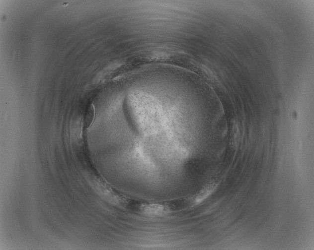 X0000083560230200702231612