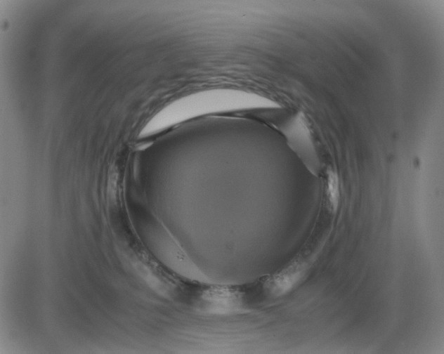 X0000083560231200702231612