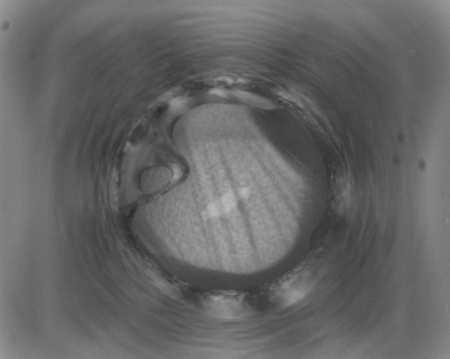 X0000083560232200702231612