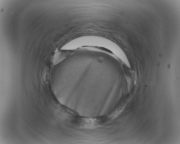 X0000083560233200702231612