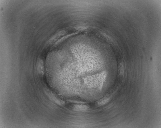 X0000083560234200702231612