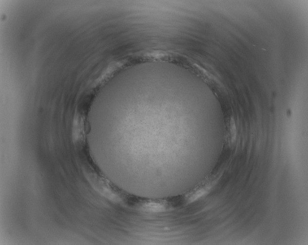 X0000083560236200702231612