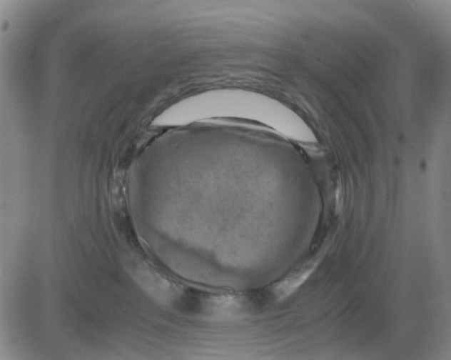 X0000083560237200702231612