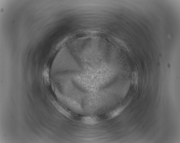 X0000083560238200702231612