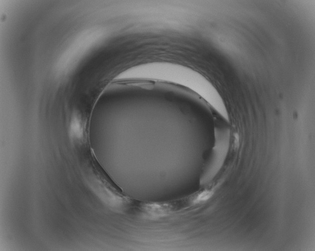 X0000083560239200702231612