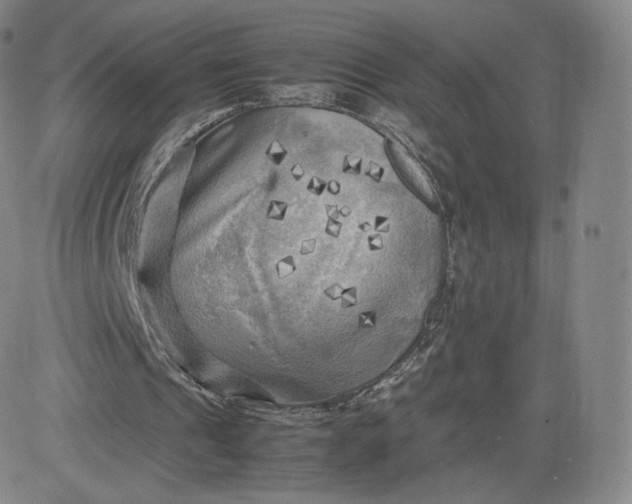 X0000083560241200702231611