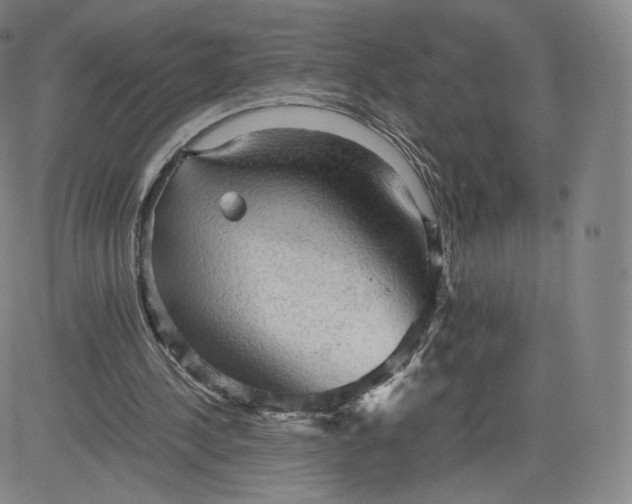 X0000083560244200702231611