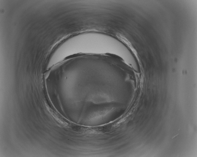 X0000083560249200702231611