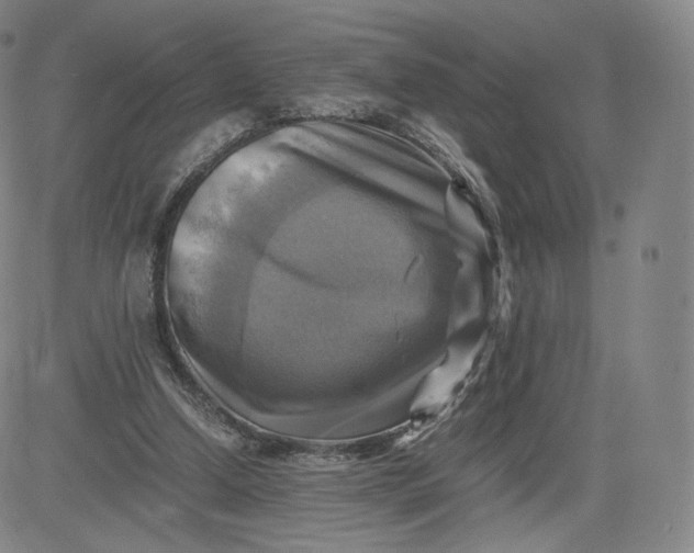 X0000083560250200702231611