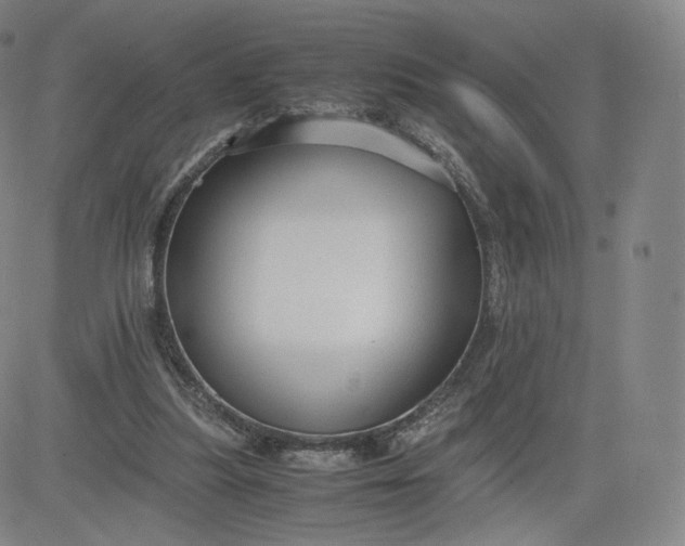 X0000083560251200702231611