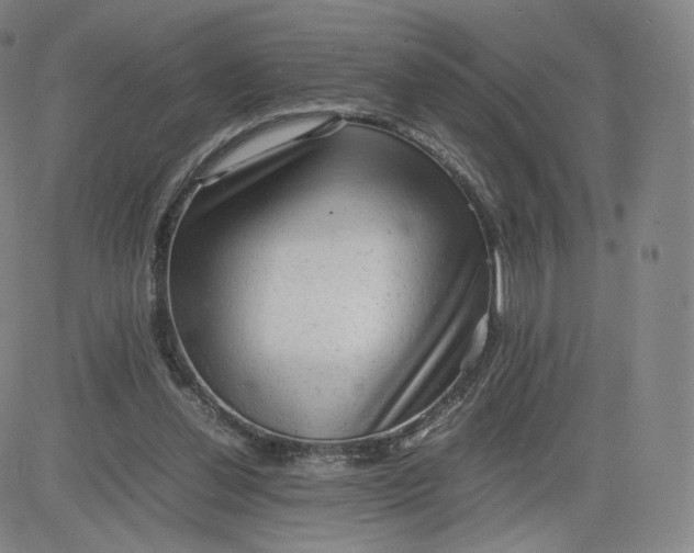 X0000083560252200702231611