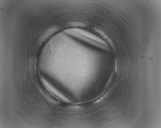 X0000083560253200702231611