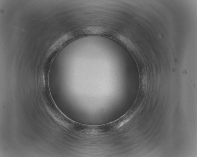 X0000083560254200702231611