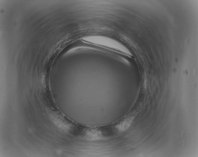 X0000083560258200702231611