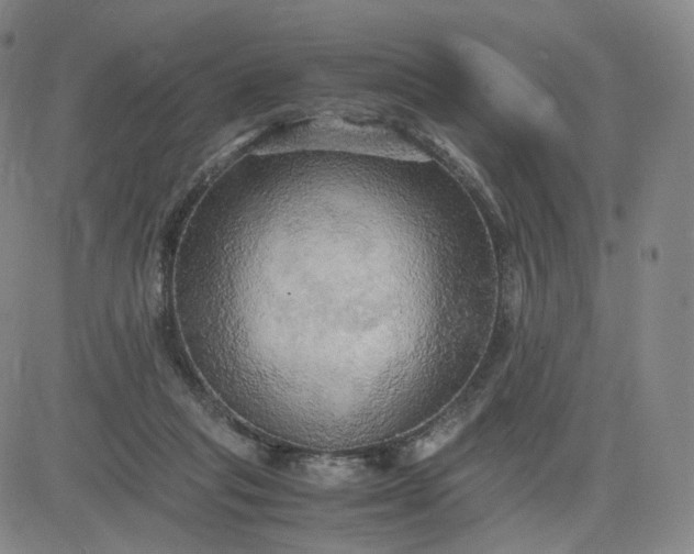 X0000083560261200702231611