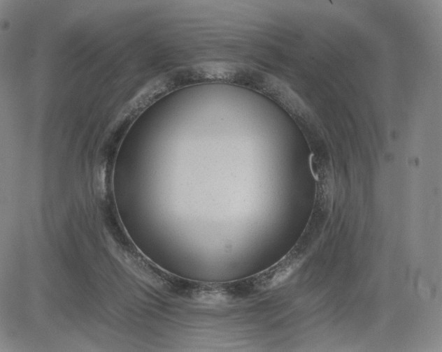 X0000083560262200702231611