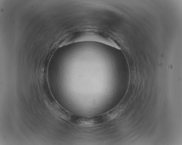 X0000083560263200702231611