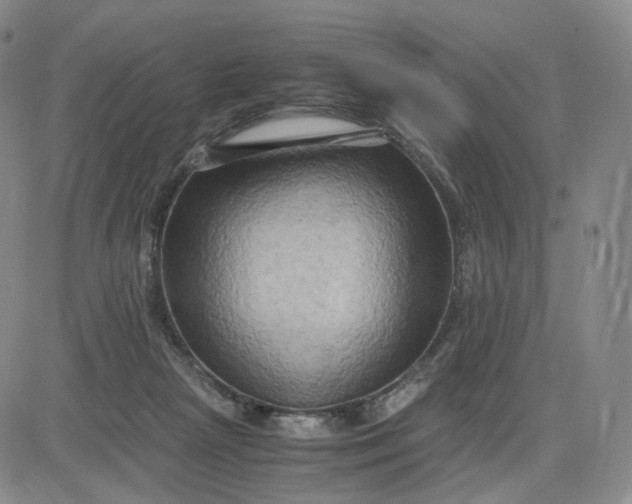 X0000083560265200702231611