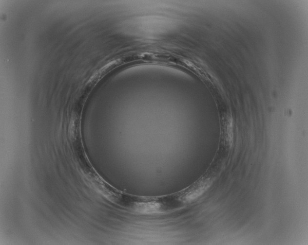 X0000083560266200702231611