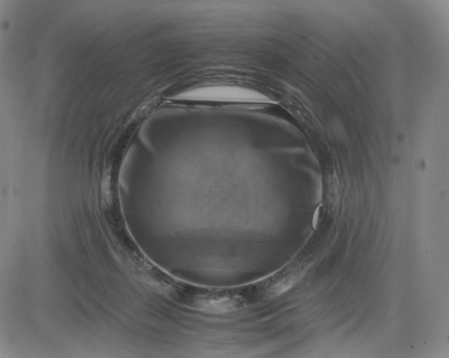 X0000083560267200702231611