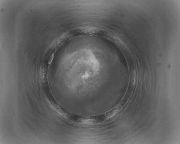 X0000083560268200702231611