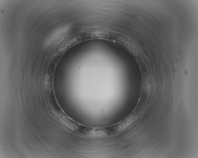 X0000083560270200702231611