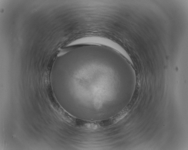 X0000083560272200702231611