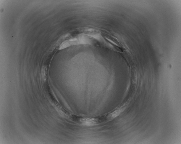 X0000083560273200702231611