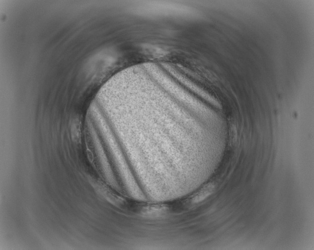 X0000083560274200702231611