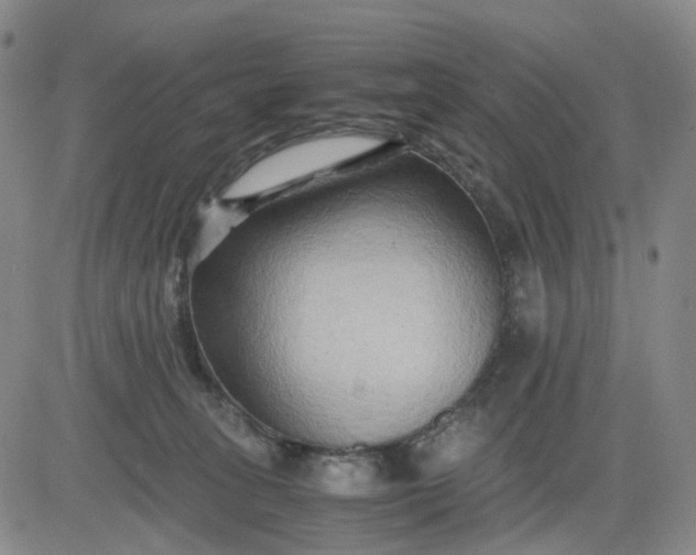 X0000083560275200702231611